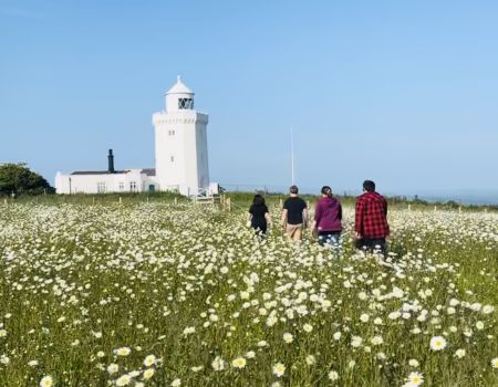 st margarets bay holiday cottages